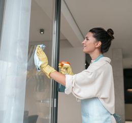 Мойка панорамных окон